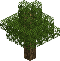 Дерево (дуб).png